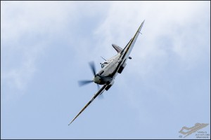 NZ6_1136